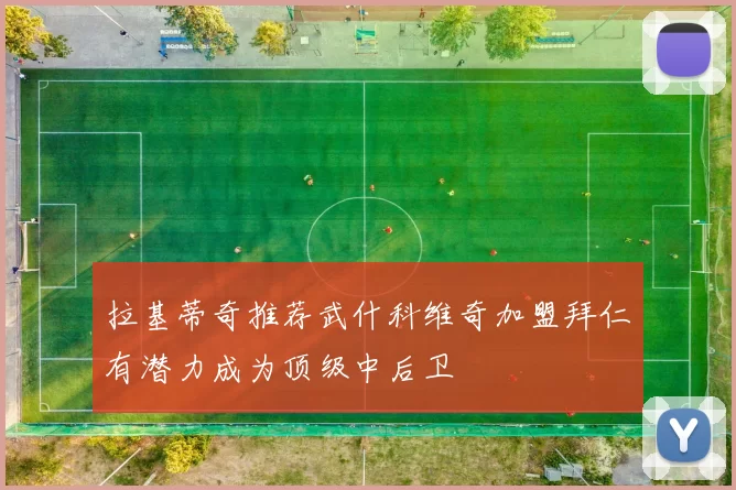 拉基蒂奇推荐武什科维奇加盟拜仁有潜力成为顶级中后卫