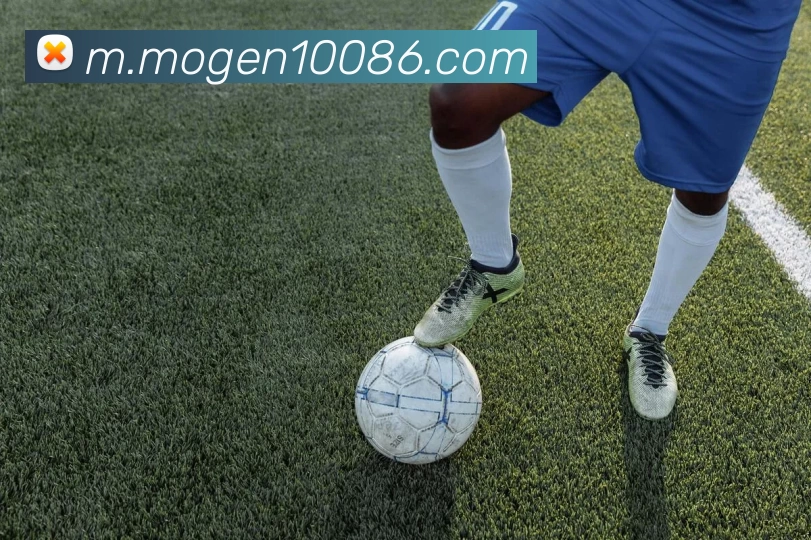 摩根体育平台生态图