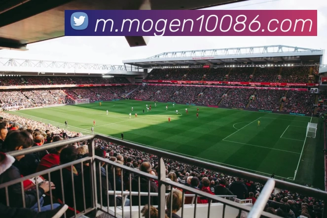 摩根体育APP 封面图