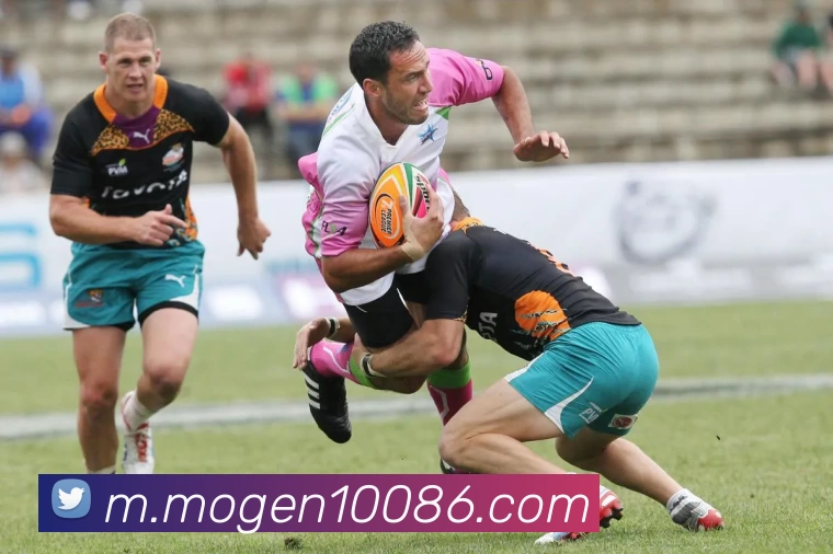 数据防护可视化